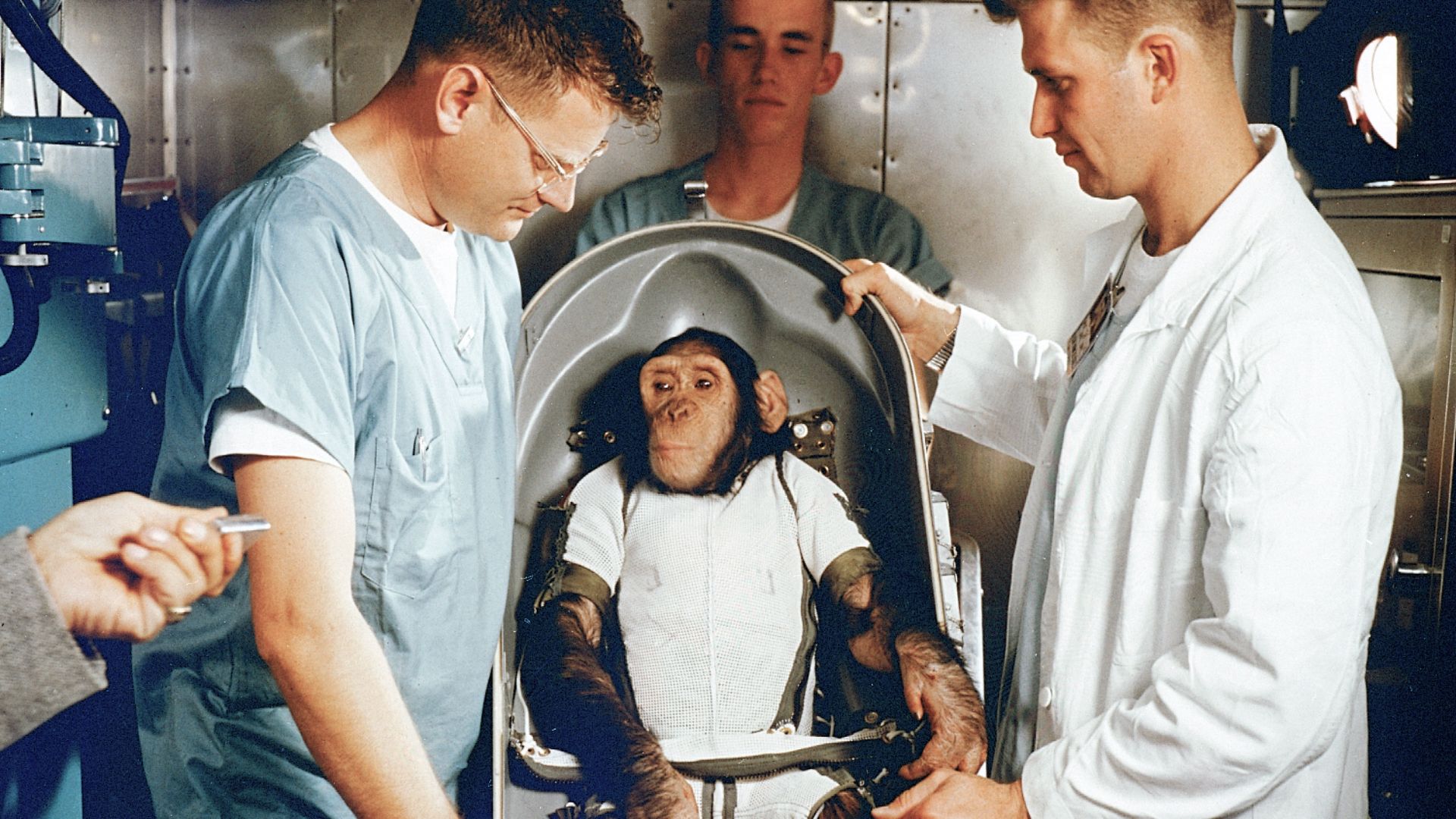 The Story of How Ham the Astrochimp Went to Space